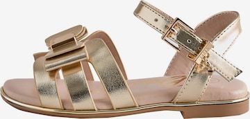 Baker by Ted Baker Sandaalit värissä kulta: etupuoli