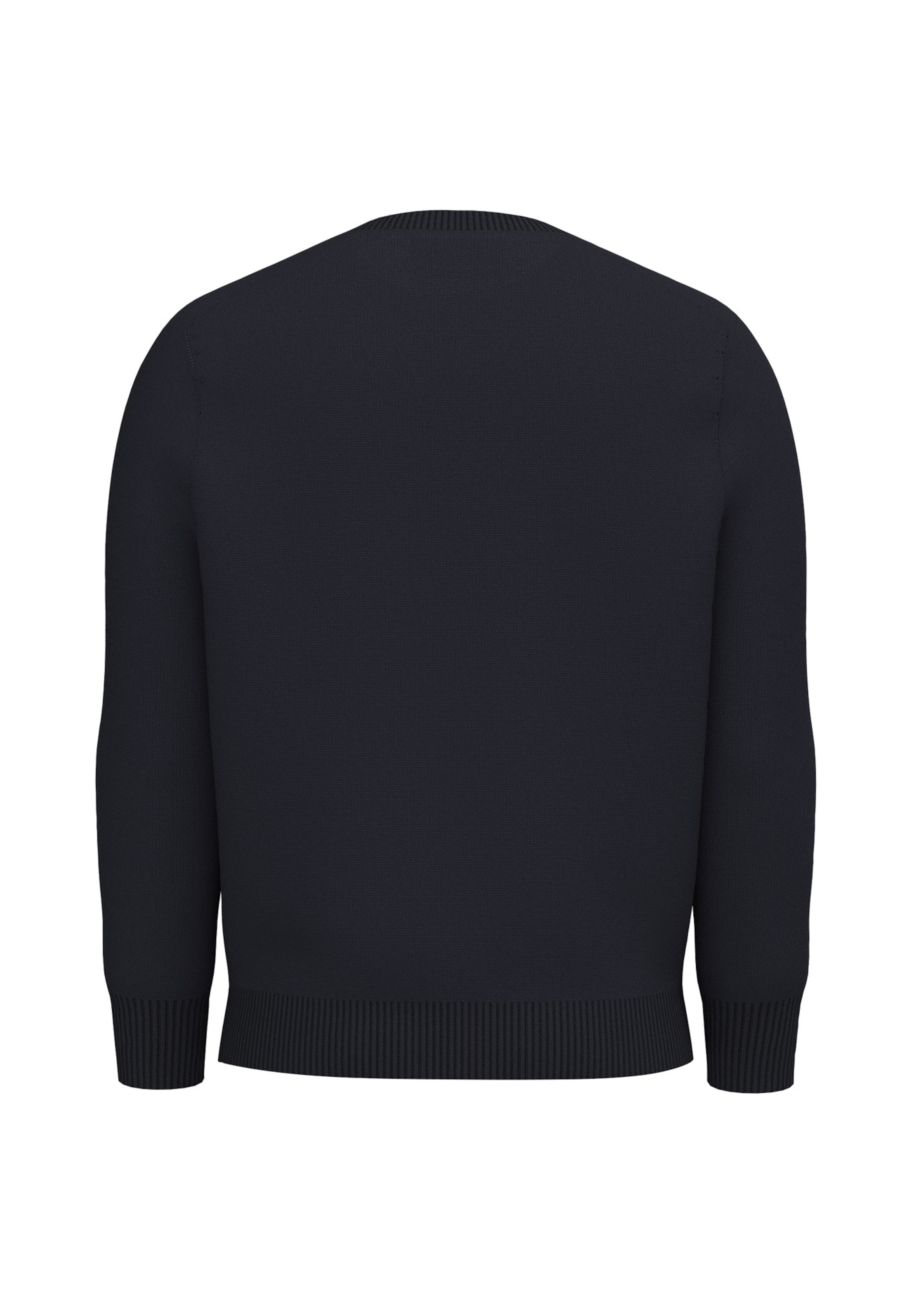FYNCH-HATTON Pullover in Blau