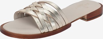 Crickit Pantolette ' OCEANE ' in Gold: predná strana