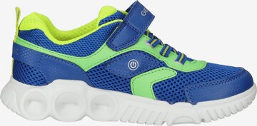 GEOX Sneaker in Blau