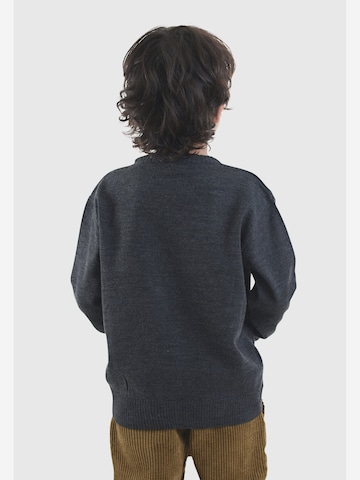 Denokids Trui ' CFF-25S1-055 ' in Grijs