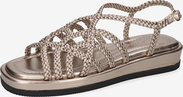 MELVIN & HAMILTON Sandale 'Vim 2' in Gold: Vorderseite