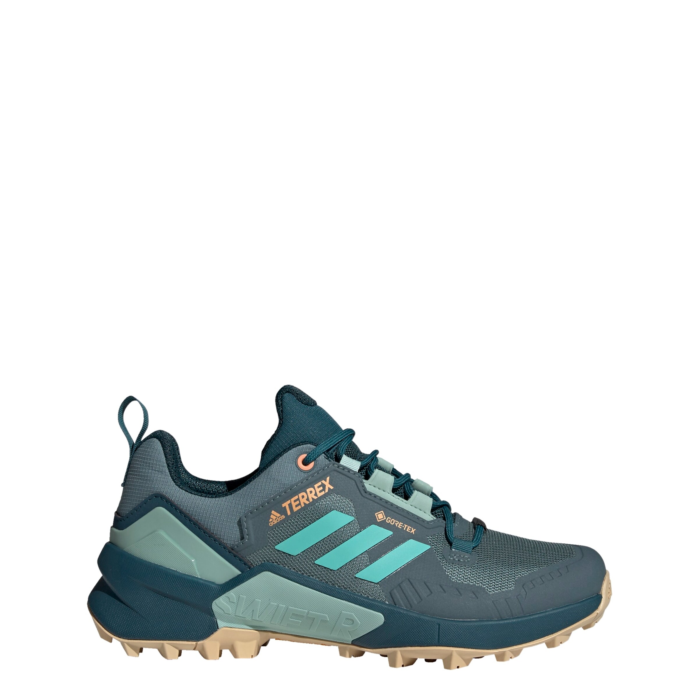 ADIDAS TERREX Flats 'Swift R3 Gore-Tex' in Blue
