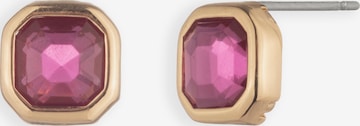 Lauren Ralph Lauren Ohrringe 'Darlene' in Pink: Vorderseite