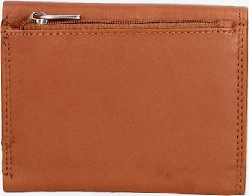 Sergio Valentini Wallet in Brown: front
