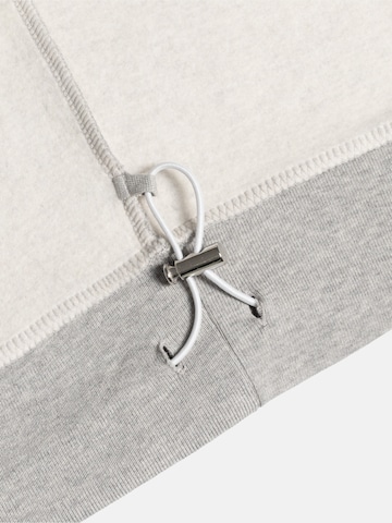 ENRAGE Sweatshirt 'THE BLANC'‌‌‌ in Grau