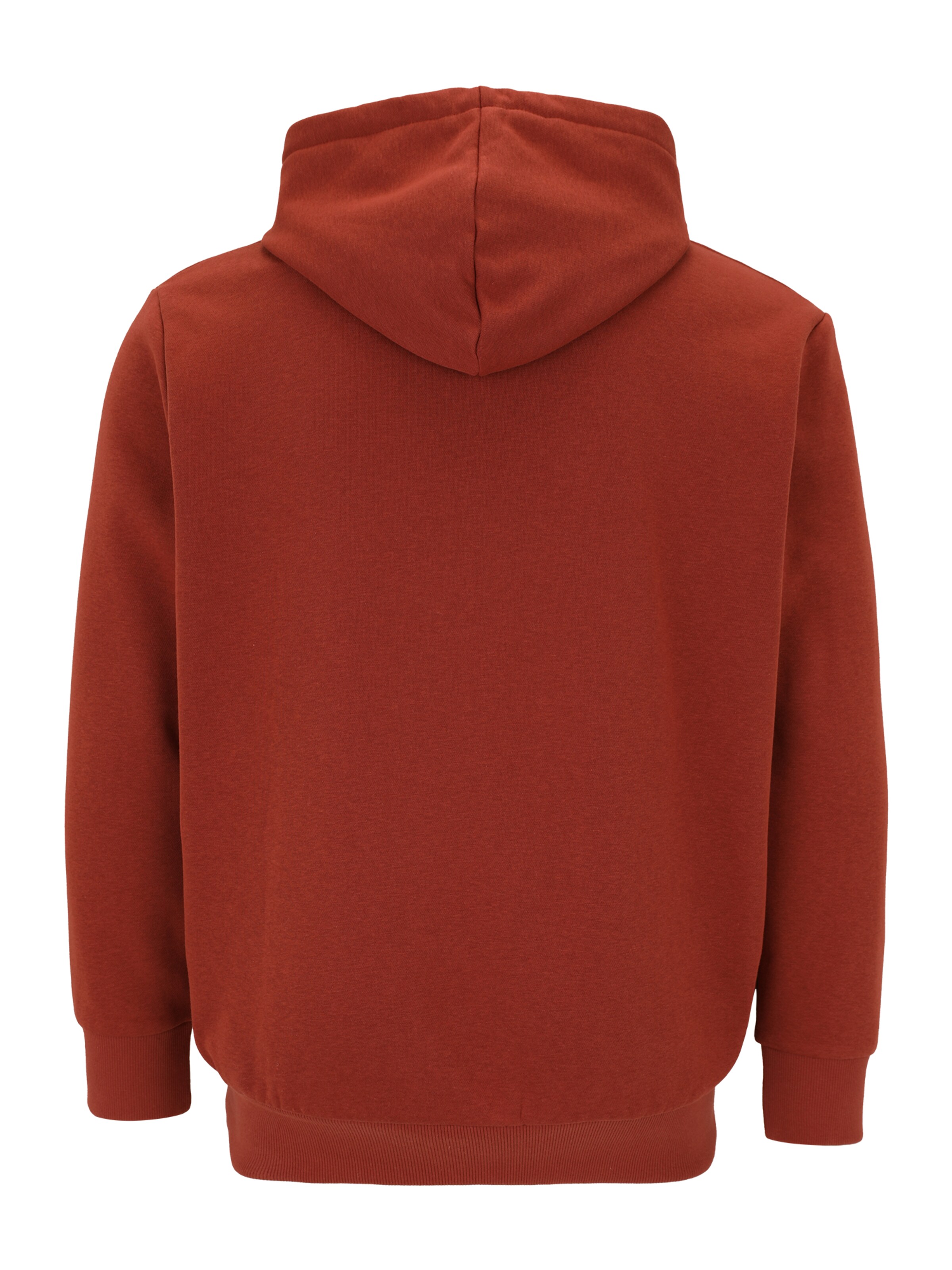 Jack & Jones Plus Sweatshirt 'JJECaleb' in Brown