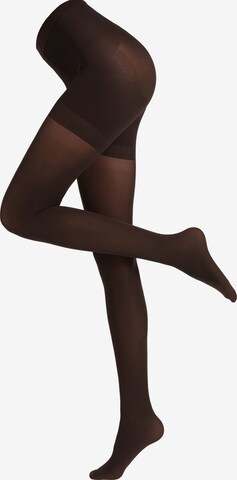 CALZEDONIA Fine Tights in Brown: front