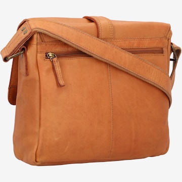 Greenland Nature Crossbody Bag in Brown