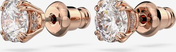 Swarovski Σκουλαρίκια σε χρυσό