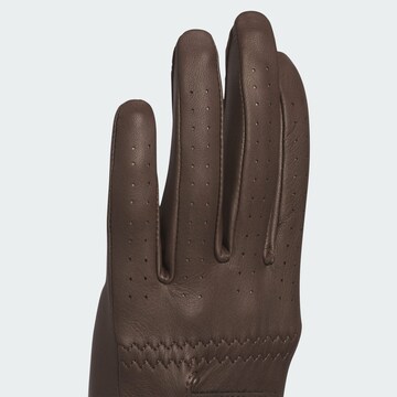 ADIDAS PERFORMANCE Sporthandschoenen in Bruin