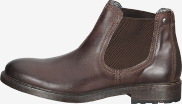 LLOYD Chelsea boots in Bruin