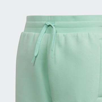 ADIDAS ORIGINALS Regular Shorts 'Adicolor' in Grün