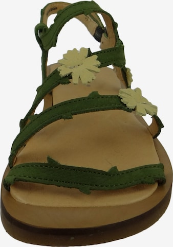 EL NATURALISTA Sandals in Green