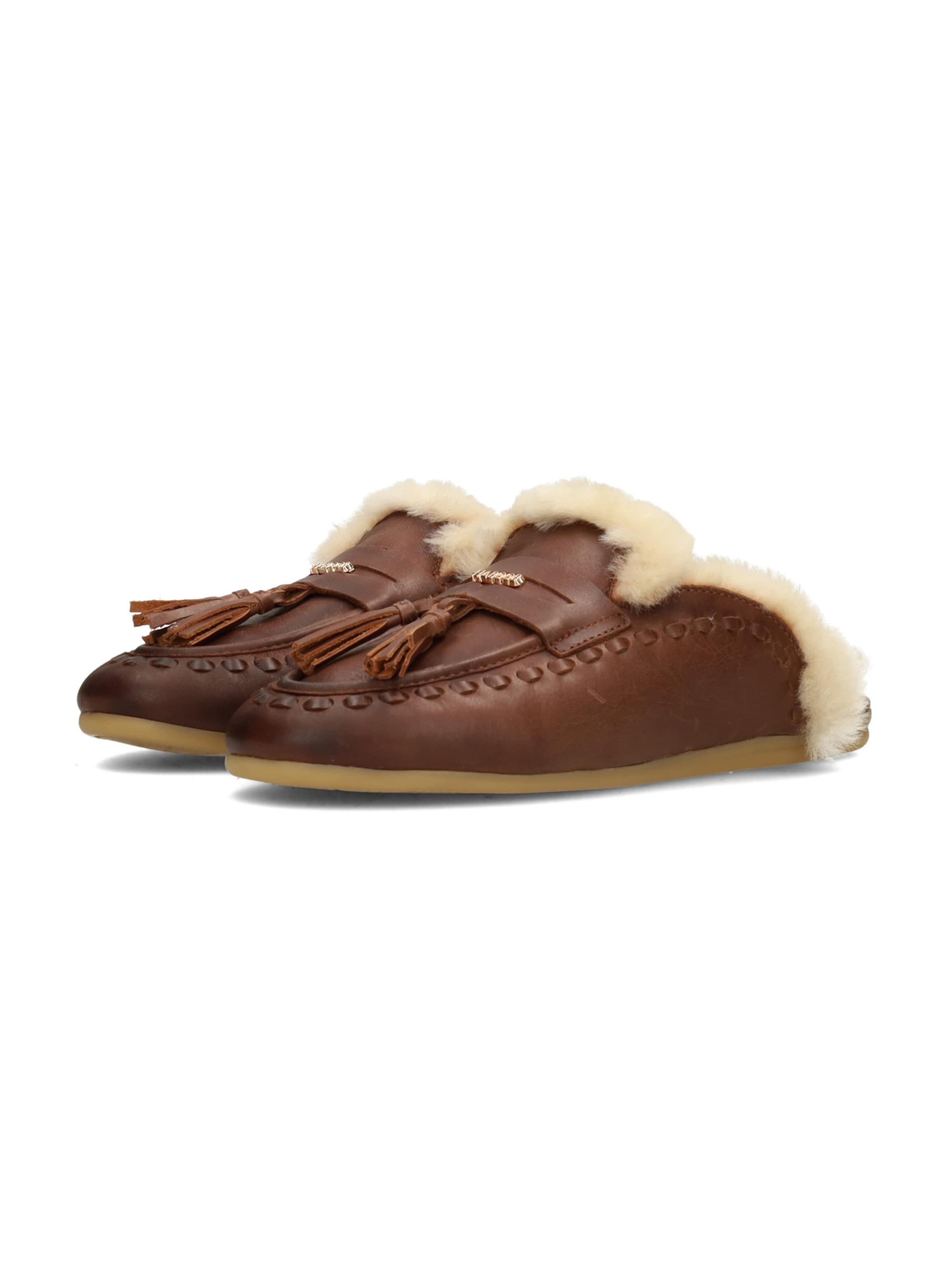 Haboob Mule 'Jolie ' in Brown