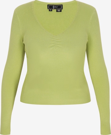 žalia faina Megztinis 'Comfortable': priekis