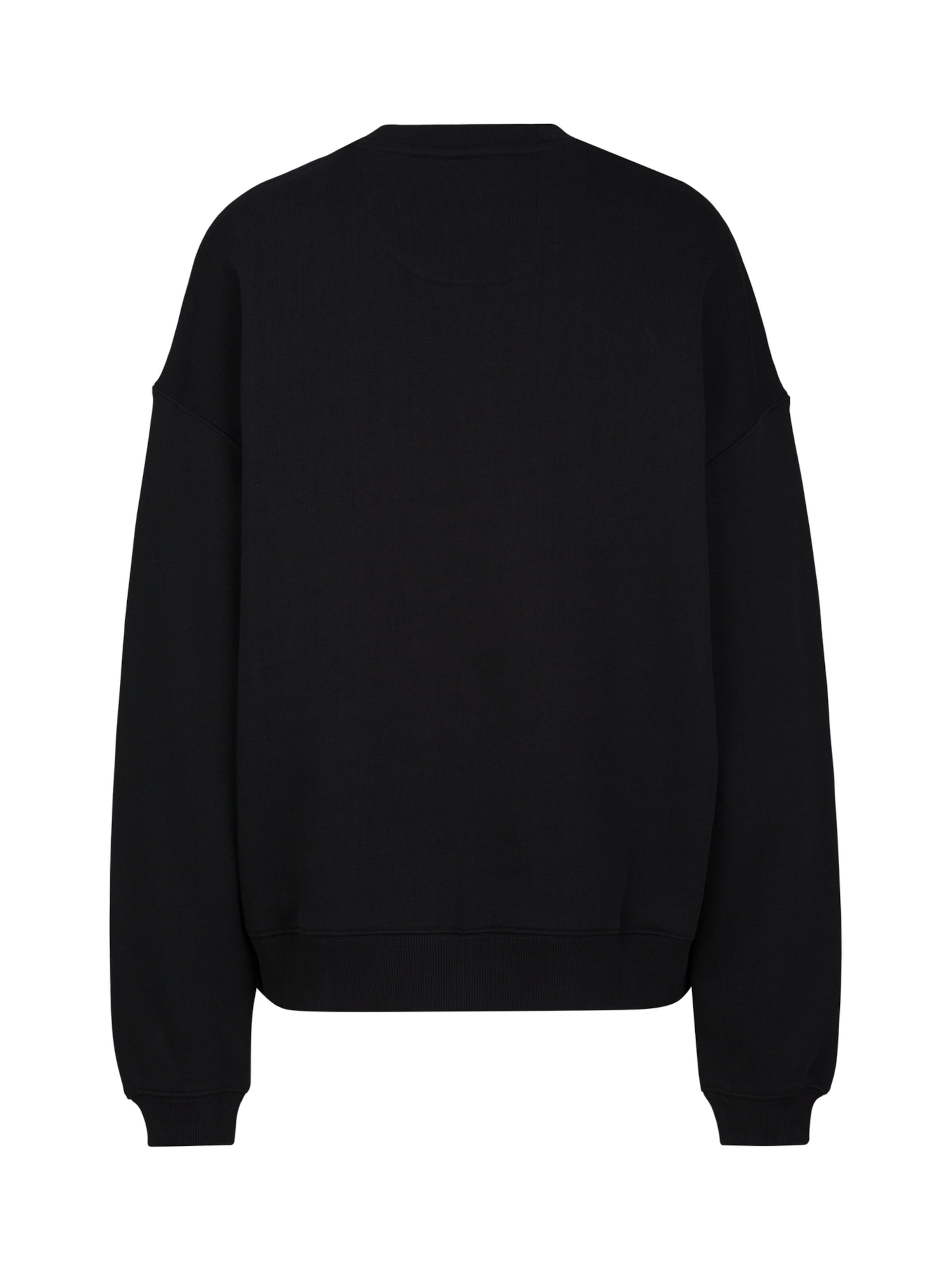 Sweat-shirt 19V69 ITALIA en noir : derrière