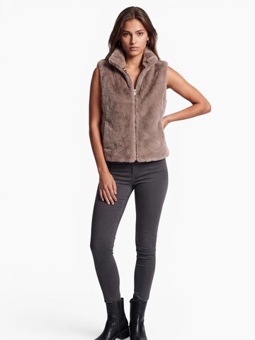 Funk since 1776 Vest in Brown