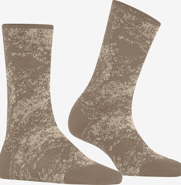 FALKE Socken 'Sparkle Dust' in Beige: Vorderseite