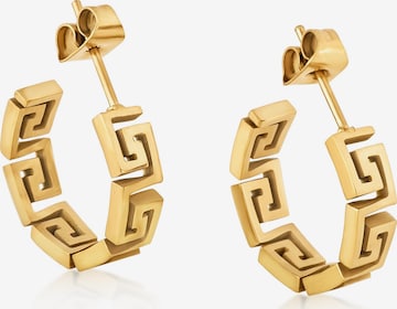 Akitsune Ohrringe 'Argius' in Gold: Vorderseite