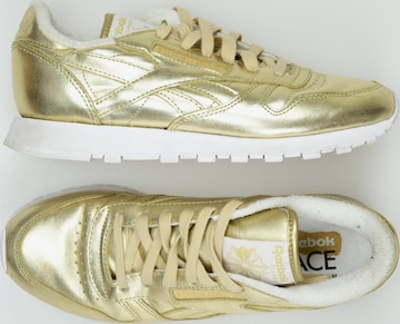 Reebok Sneaker 37 5 in Gold ABOUT YOU