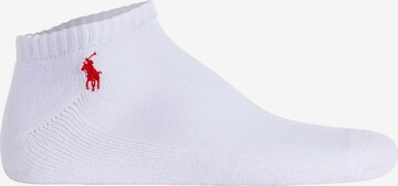 Polo Ralph Lauren Socks in White