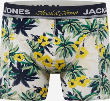 JACK & JONES Boxershorts 'VENICE' in Gemengde kleuren: voorkant