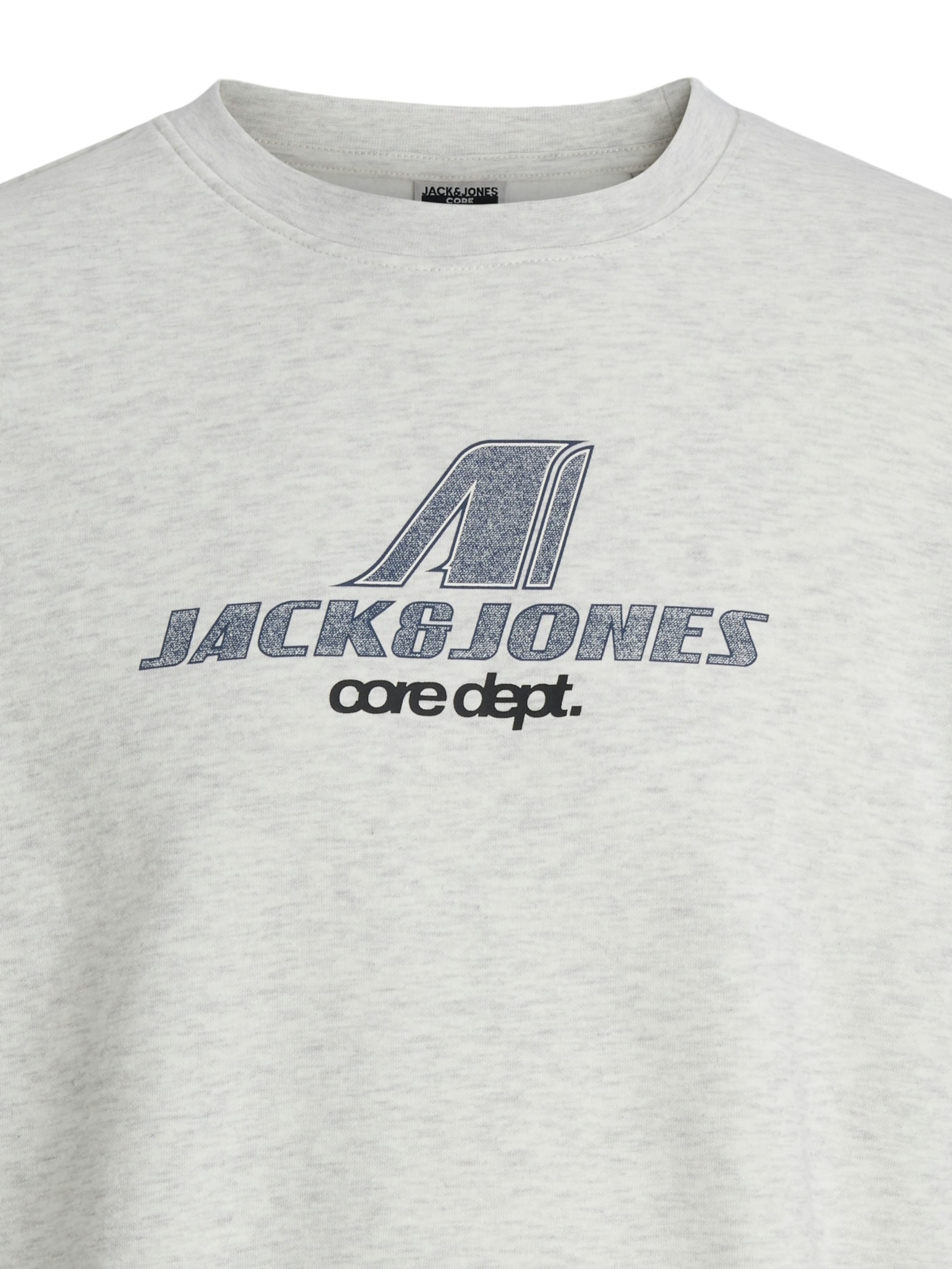 Jack & Jones Junior Sweatshirt 'Tier' in Grey