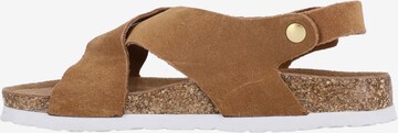 Cruz Sandals 'Peit' in Brown