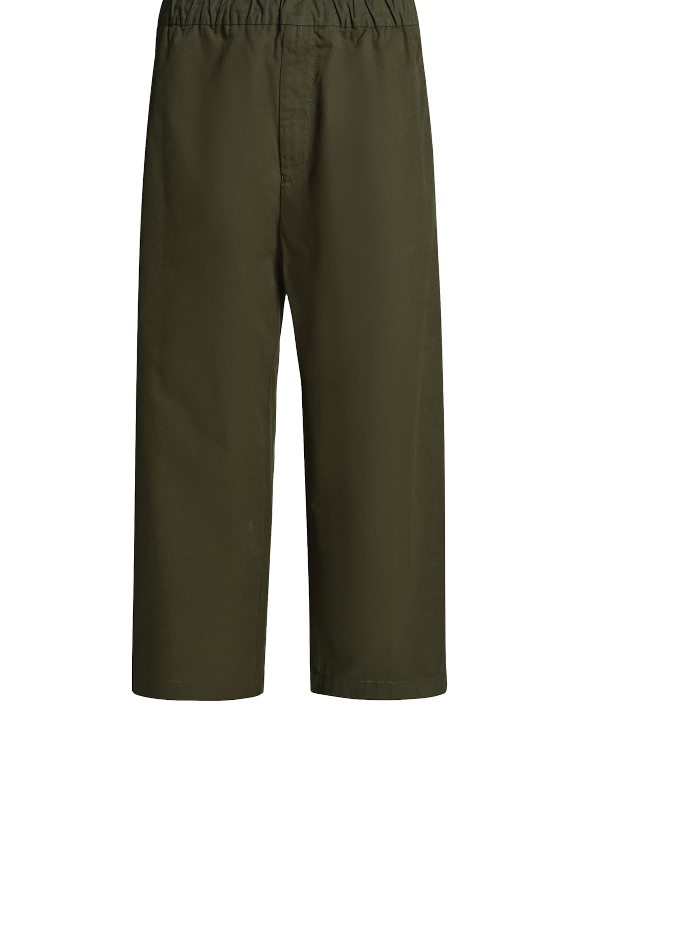 DRYKORN - Loosefit Pantalón 'JOPAGO_CLN 10' en verde: frente