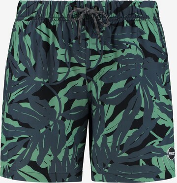 Shiwi Badshorts 'palm cove 4-way stretch' i svart: framsida