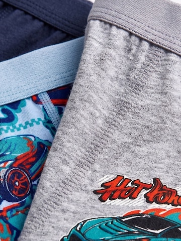 ÖTSGaće 'ÖTS Herren-Boxershorts' - siva boja