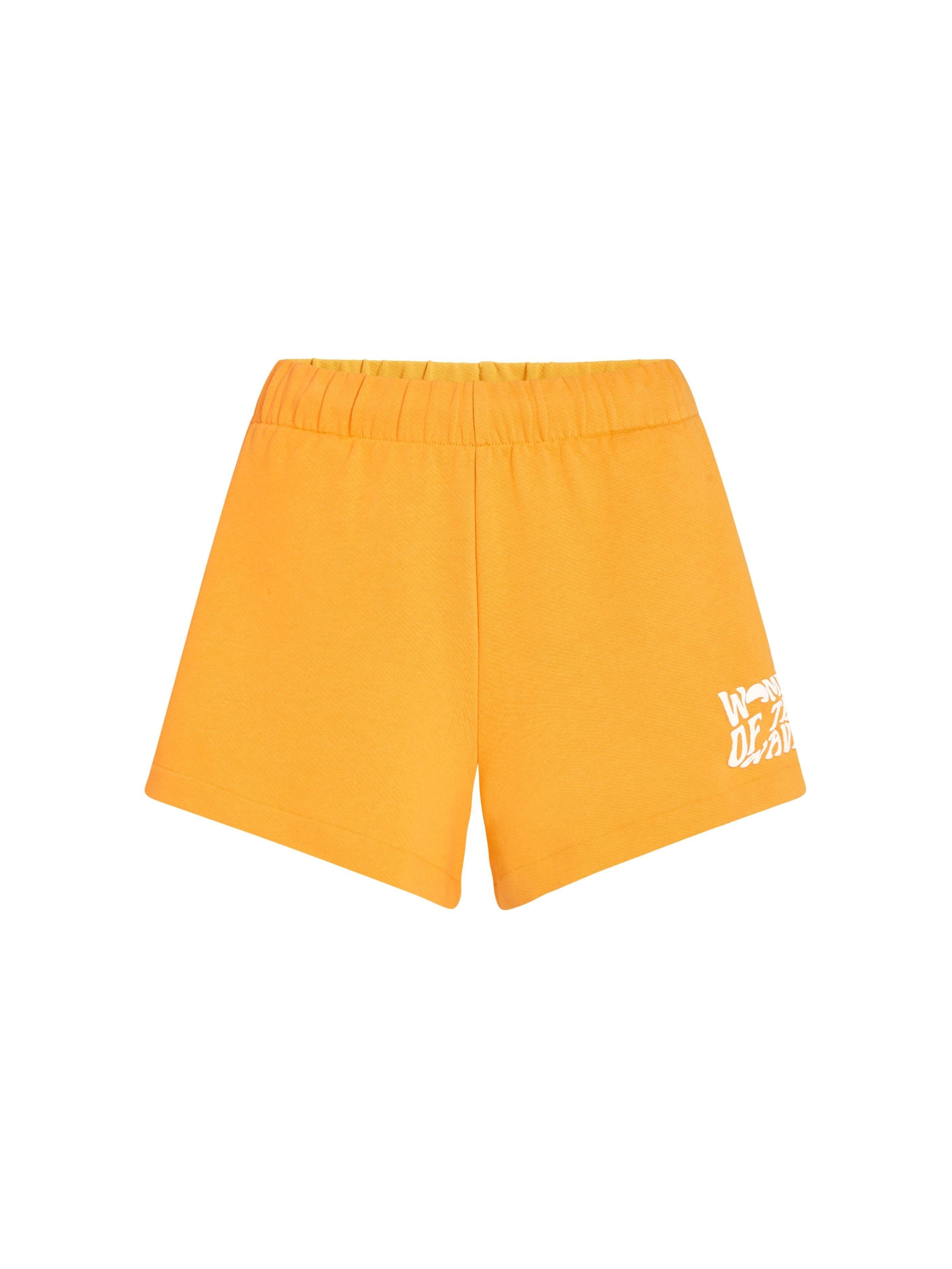 O'NEILL Штаны 'Women Of The Wave' в Оранжевый: спереди