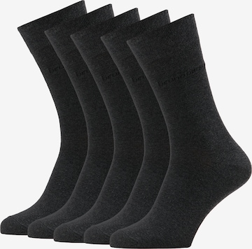 BRUNO BANANI Socks in Grey: front