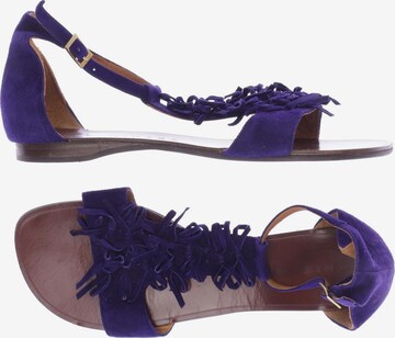 Chie Mihara Sandals & High-Heeled Sandals in 40 in Blue: front