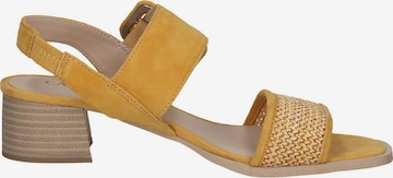 CAPRICE Sandals in Yellow