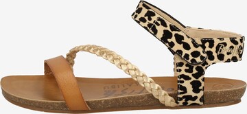 Blowfish Malibu Sandalen met riem 'Goya' in Beige