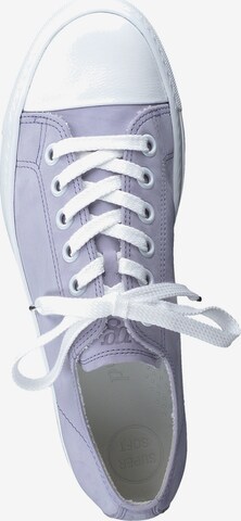 Paul Green Sneaker in Lila