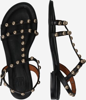 Billi Bi Strap Sandals in Black