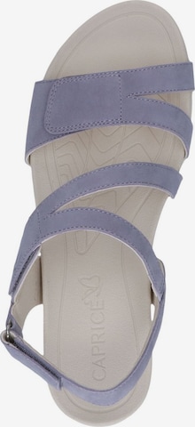 CAPRICE Strap Sandals in Purple
