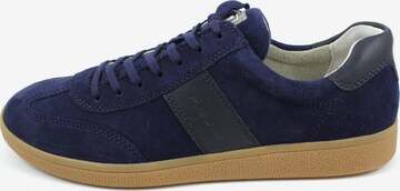 Pius Gabor Sneaker in Blau