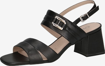 CAPRICE Sandale in Schwarz: Vorderseite