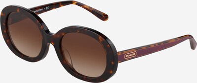 COACH Sonnenbrille '0HC8337U' in braun / kastanienbraun, Produktansicht