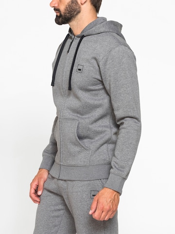 Carrera Jeans Sweatshirt 'Hood' in Grey