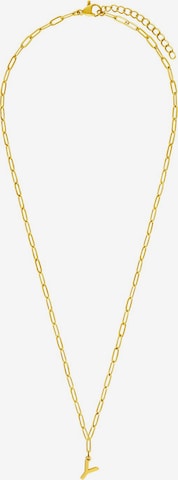 Lucardi Necklace in Gold: front