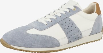 GEOX Sneakers 'Calithe ' in Blue: front