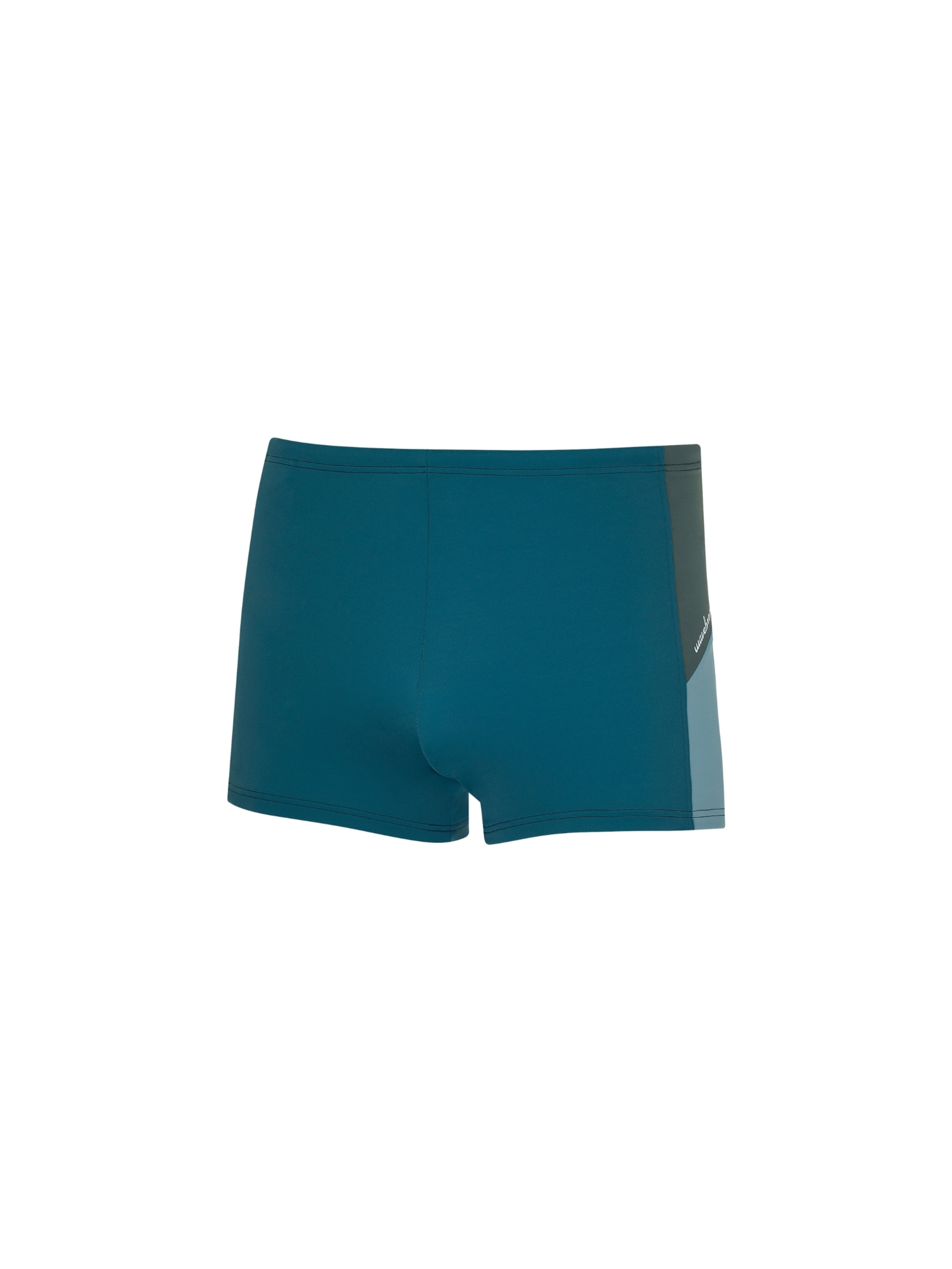 wavebreaker Бански къси панталонки в зелено: отпред