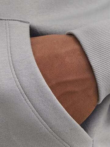 JACK & JONES Zip-Up Hoodie 'Star' in Grey