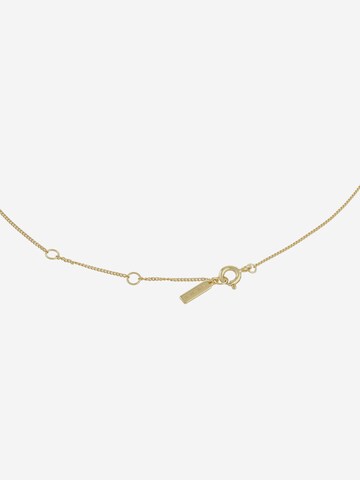 ANIA HAIE Necklace in Gold