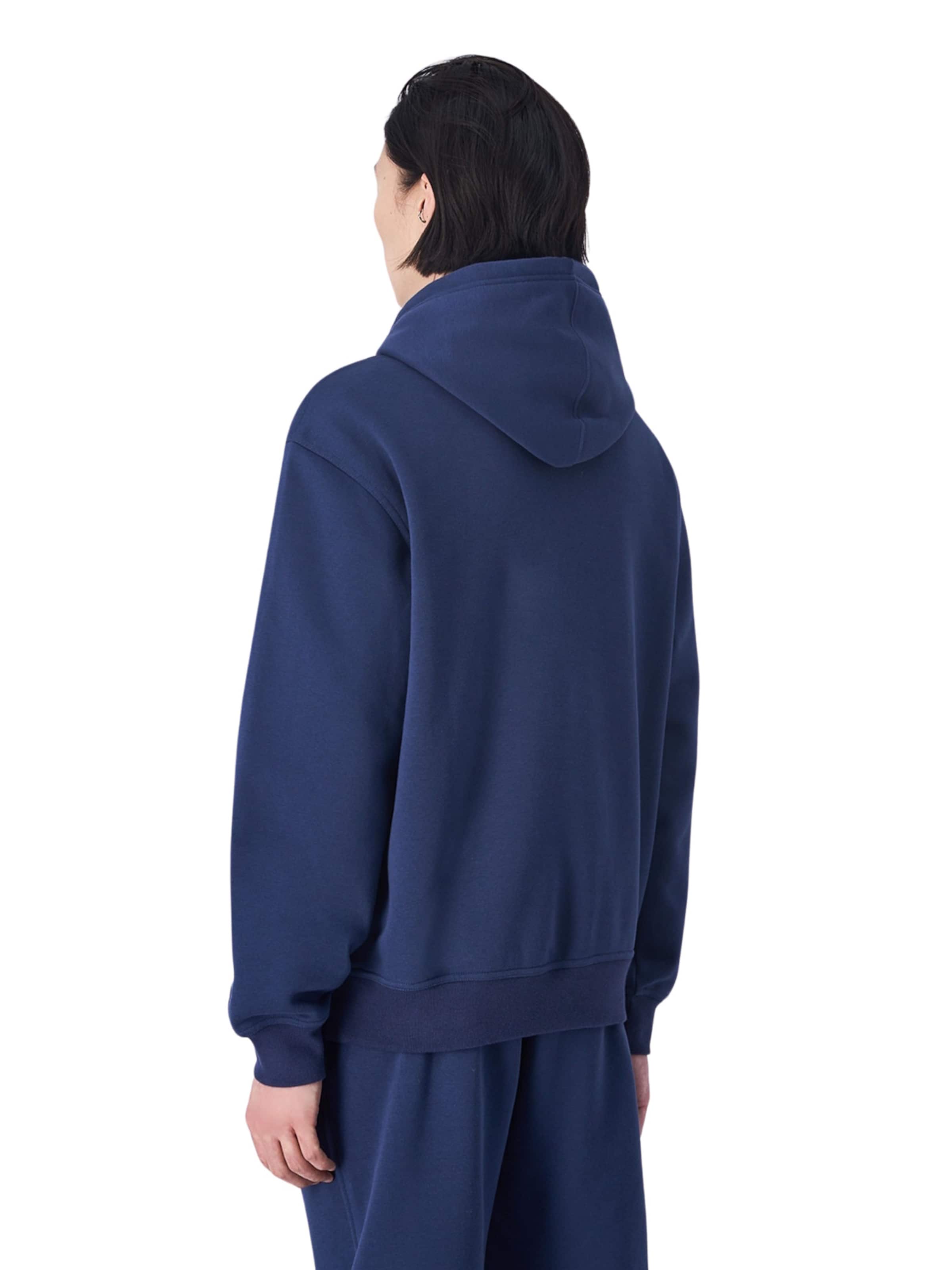 Champion Authentic Athletic Apparel Sweater in Blue